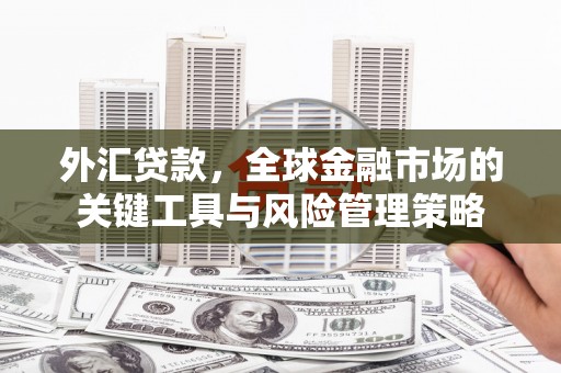 扶余外汇贷款，全球金融市场的关键工具与风险管理策略