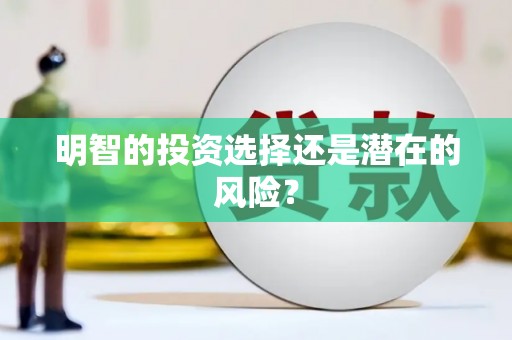 扶余明智的投资选择还是潜在的风险？