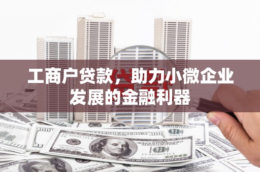 扶余工商户贷款，助力小微企业发展的金融利器