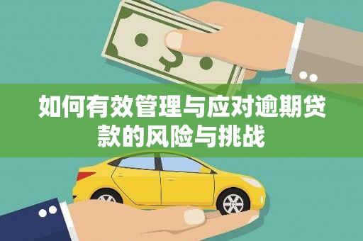 扶余如何有效管理与应对逾期贷款的风险与挑战