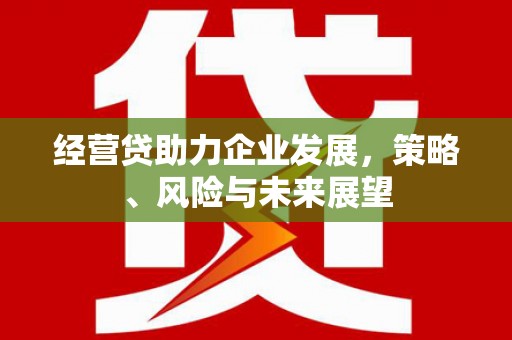 扶余经营贷助力企业发展，策略、风险与未来展望