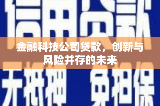 扶余金融科技公司贷款，创新与风险并存的未来