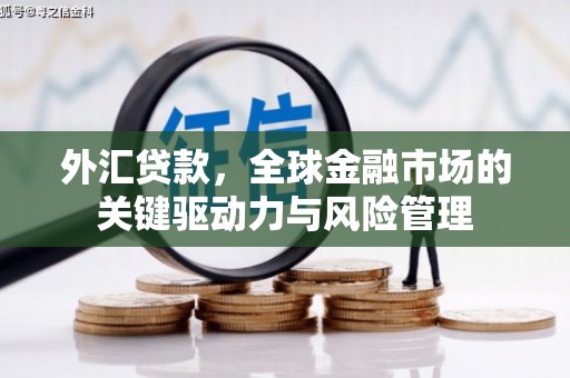 扶余外汇贷款，全球金融市场的关键驱动力与风险管理