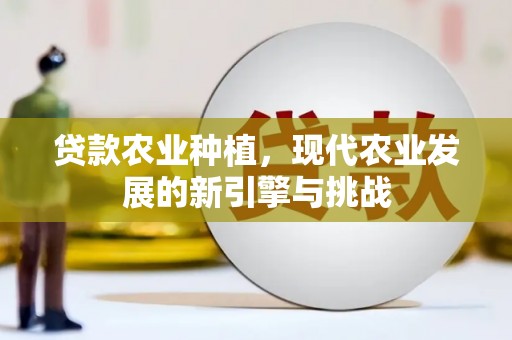扶余贷款农业种植，现代农业发展的新引擎与挑战