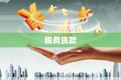 扶余税务贷款