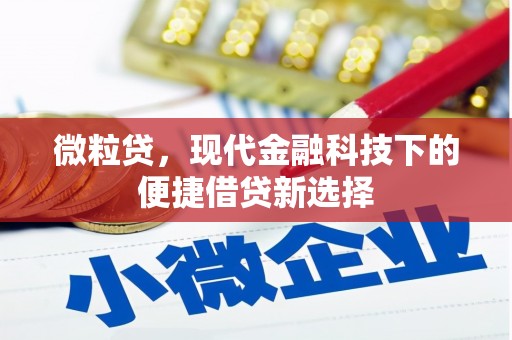 扶余微粒贷，现代金融科技下的便捷借贷新选择