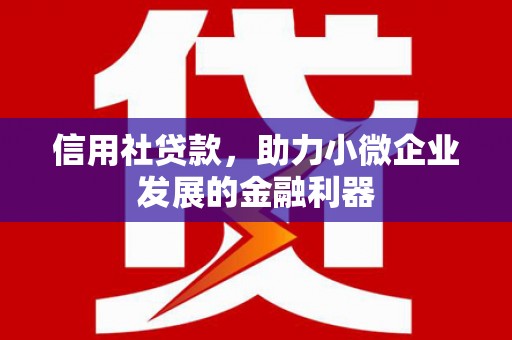 扶余信用社贷款，助力小微企业发展的金融利器
