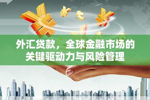 扶余外汇贷款，全球金融市场的关键驱动力与风险管理