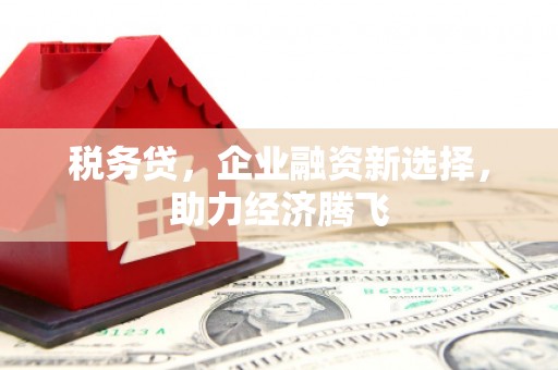 扶余税务贷，企业融资新选择，助力经济腾飞