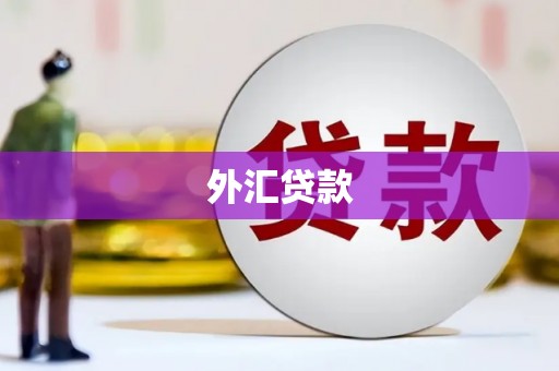 扶余外汇贷款
