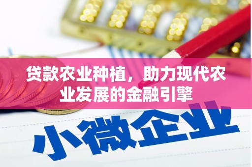 扶余贷款农业种植，助力现代农业发展的金融引擎
