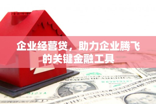 扶余企业经营贷，助力企业腾飞的关键金融工具