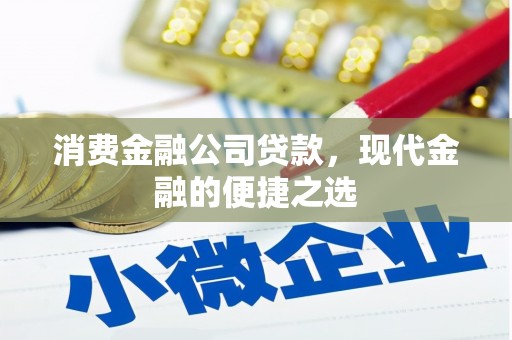扶余消费金融公司贷款，现代金融的便捷之选