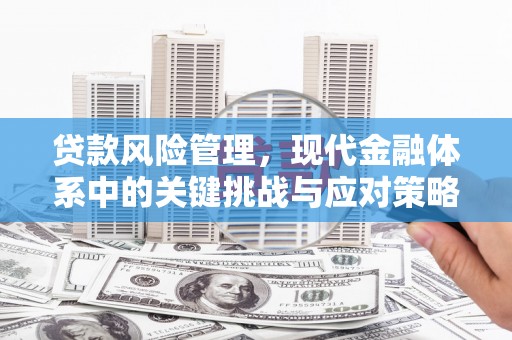 扶余贷款风险管理，现代金融体系中的关键挑战与应对策略