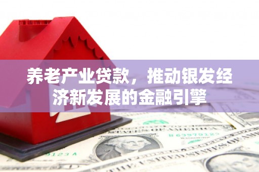 扶余养老产业贷款，推动银发经济新发展的金融引擎
