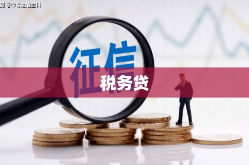 扶余税务贷