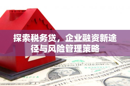 扶余探索税务贷，企业融资新途径与风险管理策略