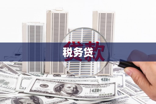 扶余税务贷