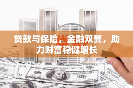 扶余贷款与保险，金融双翼，助力财富稳健增长