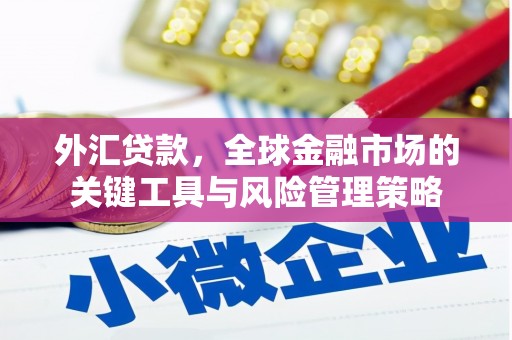扶余外汇贷款，全球金融市场的关键工具与风险管理策略