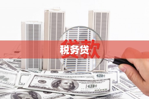 扶余税务贷