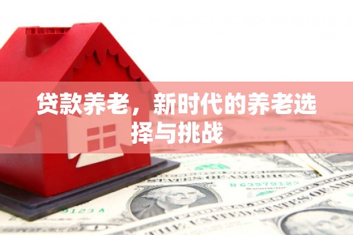 扶余贷款养老，新时代的养老选择与挑战