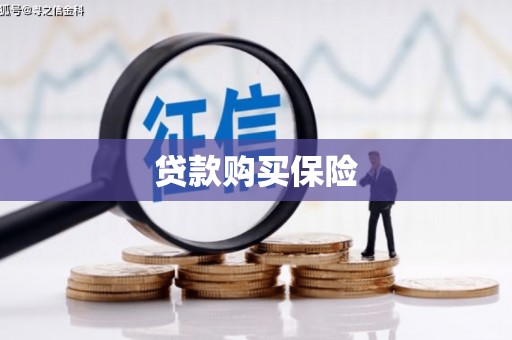 扶余贷款购买保险