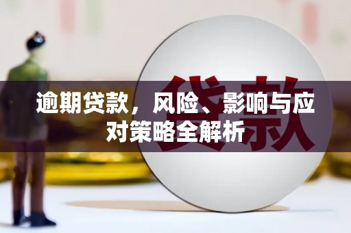 扶余逾期贷款，风险、影响与应对策略全解析