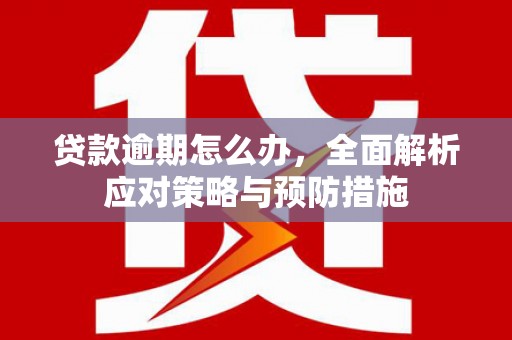 扶余贷款逾期怎么办，全面解析应对策略与预防措施