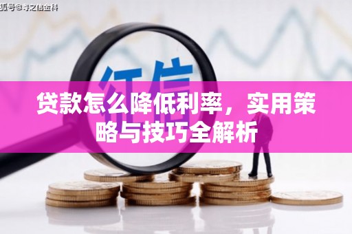 扶余贷款怎么降低利率，实用策略与技巧全解析