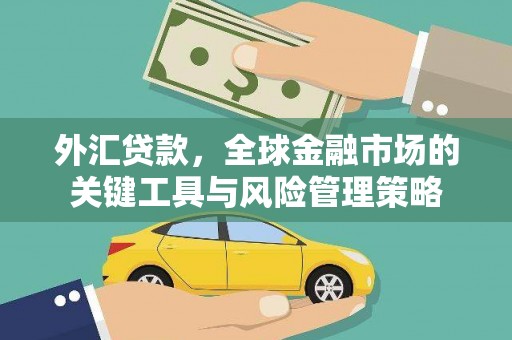 扶余外汇贷款，全球金融市场的关键工具与风险管理策略