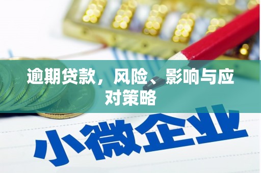 扶余逾期贷款，风险、影响与应对策略