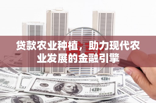 扶余贷款农业种植，助力现代农业发展的金融引擎