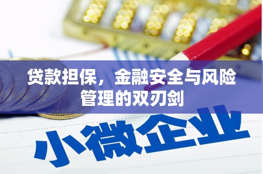 扶余贷款担保，金融安全与风险管理的双刃剑