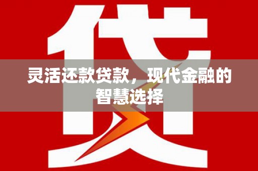 扶余灵活还款贷款，现代金融的智慧选择