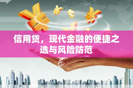 扶余信用贷，现代金融的便捷之选与风险防范