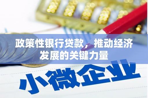扶余政策性银行贷款，推动经济发展的关键力量