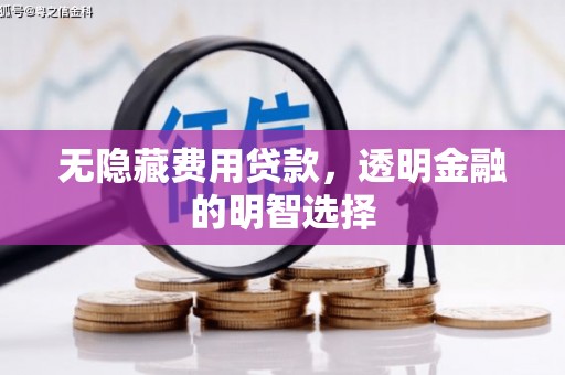 扶余无隐藏费用贷款，透明金融的明智选择