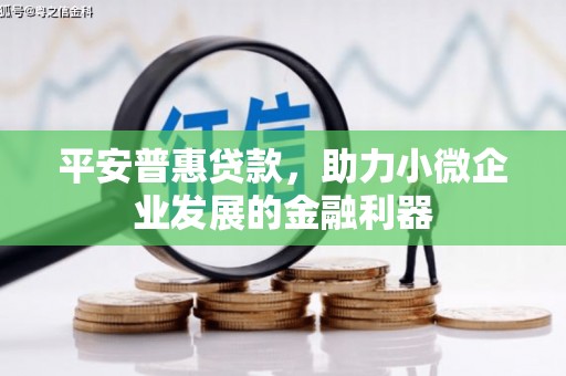 扶余平安普惠贷款，助力小微企业发展的金融利器