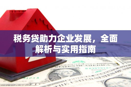 扶余税务贷助力企业发展，全面解析与实用指南