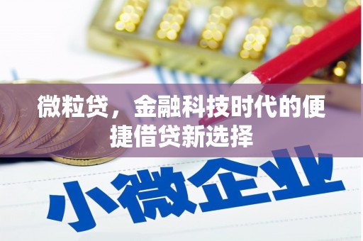 扶余微粒贷，金融科技时代的便捷借贷新选择