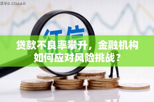 扶余贷款不良率攀升，金融机构如何应对风险挑战？
