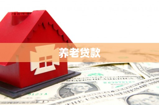扶余养老贷款