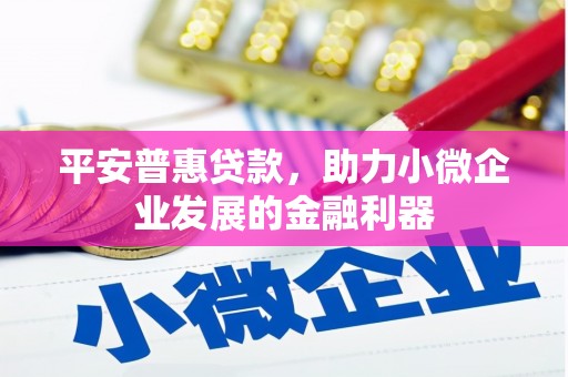 扶余平安普惠贷款，助力小微企业发展的金融利器