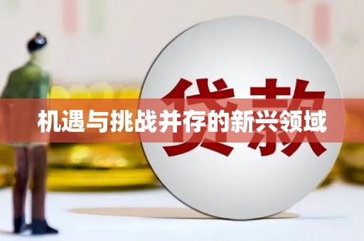 扶余机遇与挑战并存的新兴领域